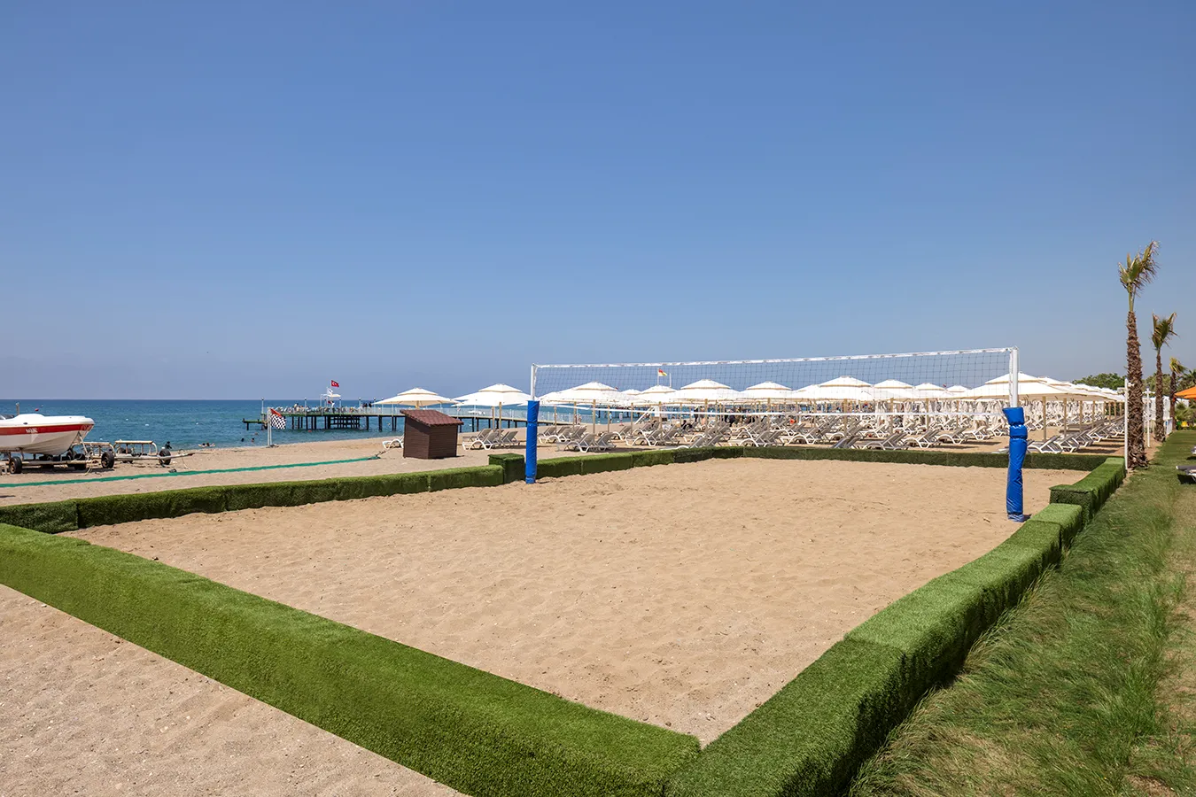 Voleybol