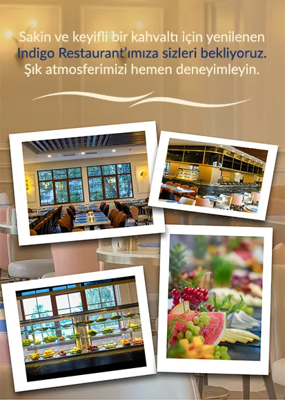 Indigo Restaurant
