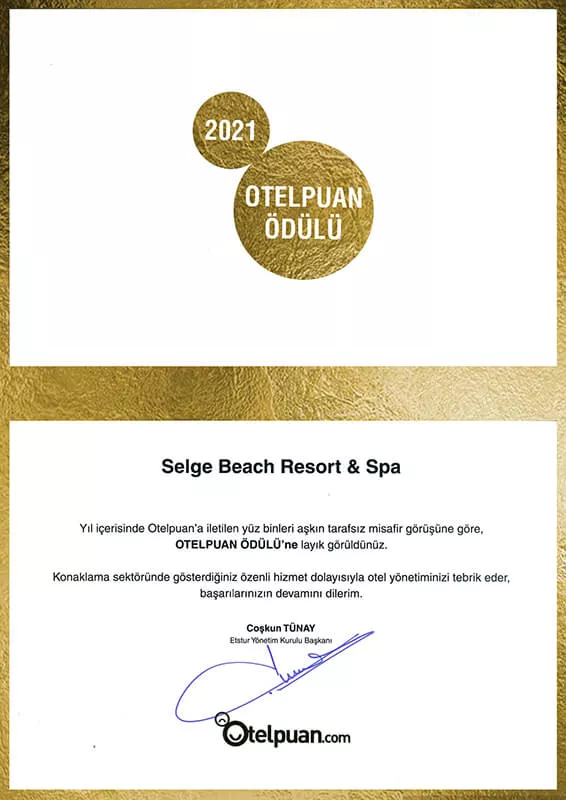 2021 Otelpuan Award Certificate