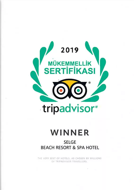 Tripadvisor 2019 Certificate of Excellence