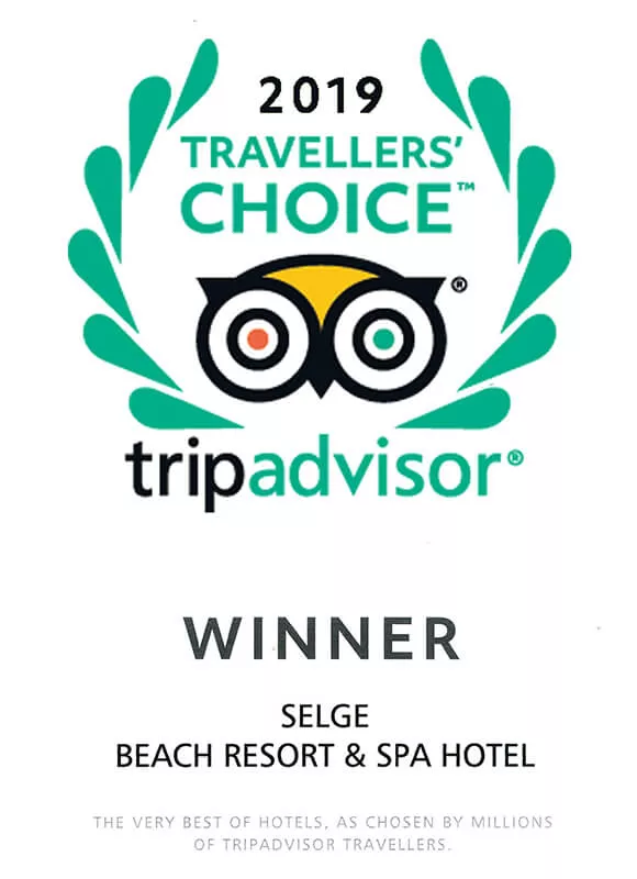 2019 Tripadvisor Winner