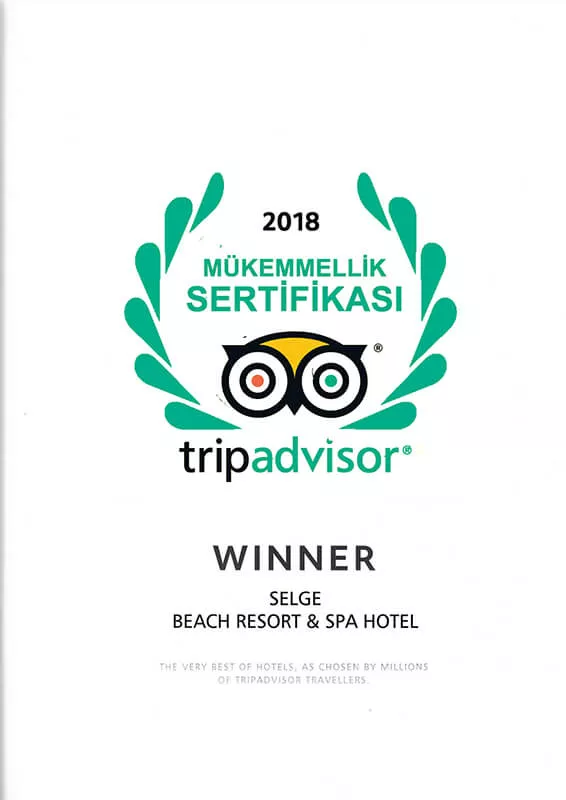 Tripadvisor 2018 Certificate of Excellence