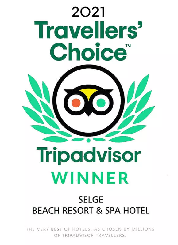 2021 Tripadvisor Winner