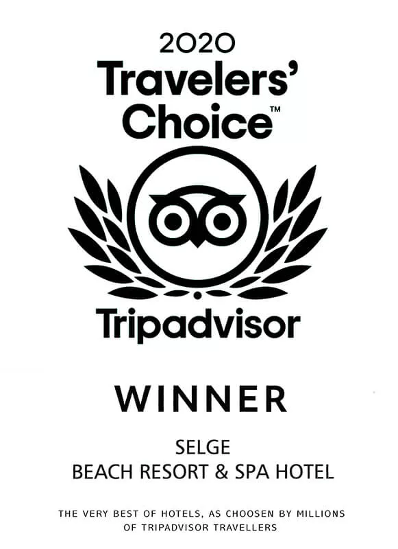 2020 Tripadvisor Winner